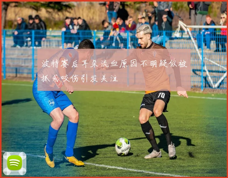 波特赛后耳朵流血原因不明疑似被抓或咬伤引发关注